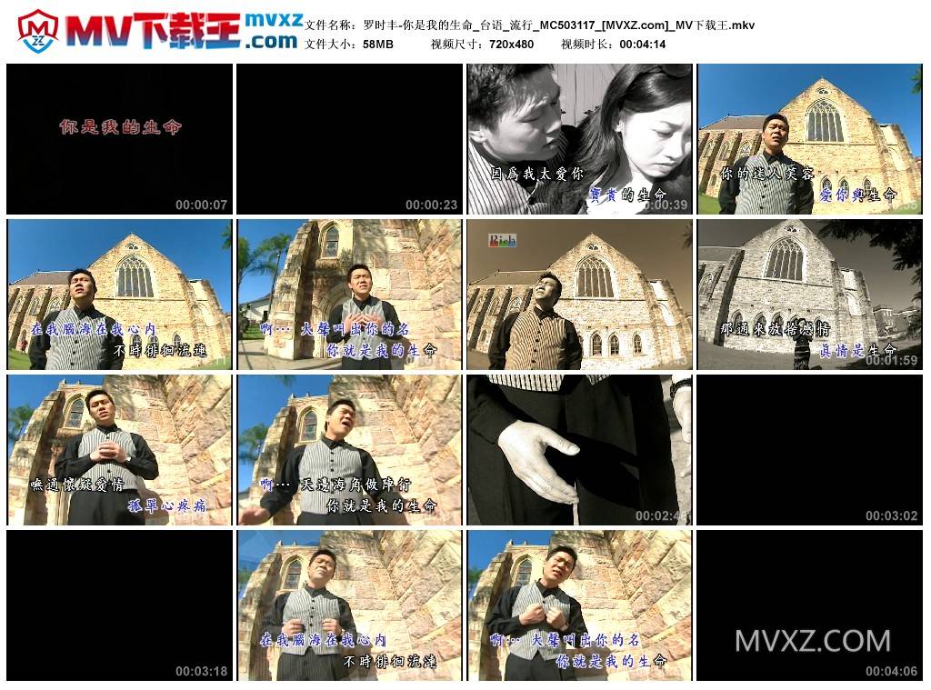 罗时丰-你是我的生命_台语_流行_MC503117